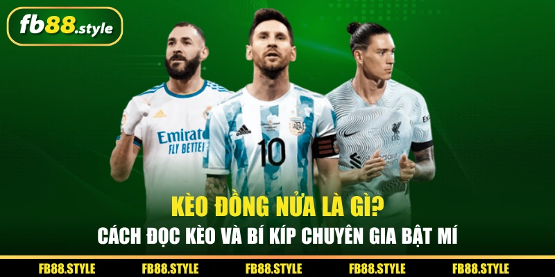 keo dong nua la gi