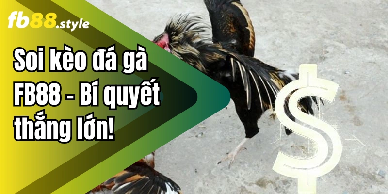 Đá Gà FB88 – Nền Tảng Phát Sóng Trực Tiếp Uy Tín Số 1 Châu Á 3 Soi kèo đá gà FB88 – Bí quyết thắng lớn!