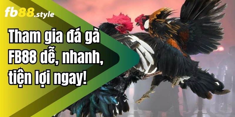 Đá Gà FB88 – Nền Tảng Phát Sóng Trực Tiếp Uy Tín Số 1 Châu Á 2 Tham gia đá gà FB88 dễ, nhanh, tiện lợi ngay!