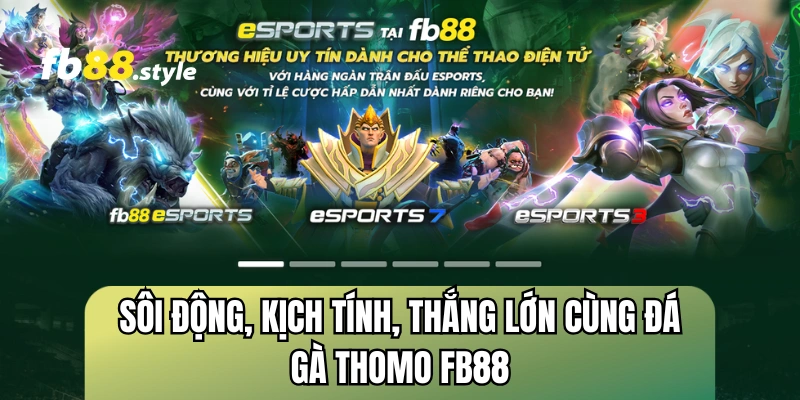 Sôi động, kịch tính, thắng lớn cùng đá gà Thomo FB88